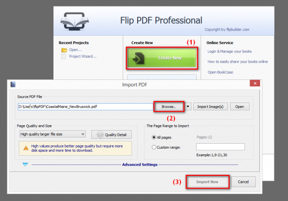 Import your PDF file