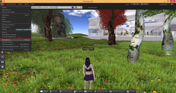 Set up Second Life voice morphing female