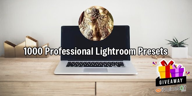 1000 Professional Lightroom Presets