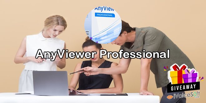 AnyViewer Professional