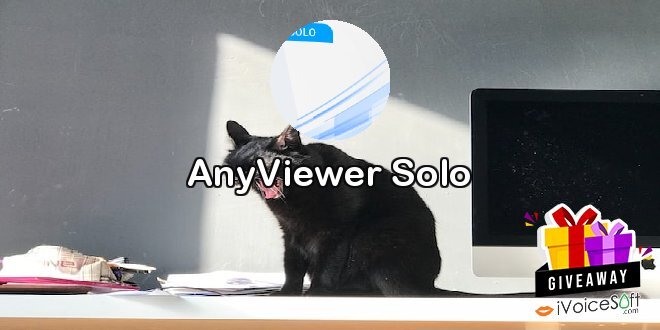 AnyViewer Solo