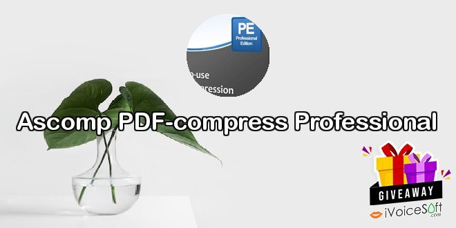 Ascomp PDF-compress Professional