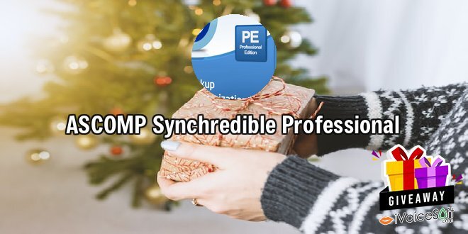 ASCOMP Synchredible Professional