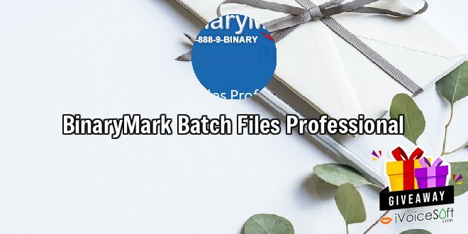 BinaryMark Batch Files Professional