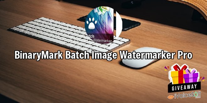 BinaryMark Batch Image Watermarker Pro