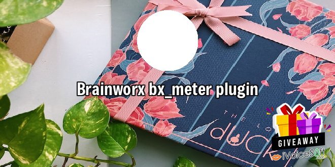 Brainworx bx_meter plugin