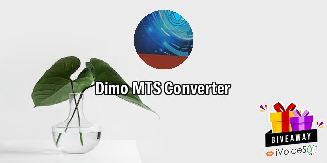 Dimo MTS Converter