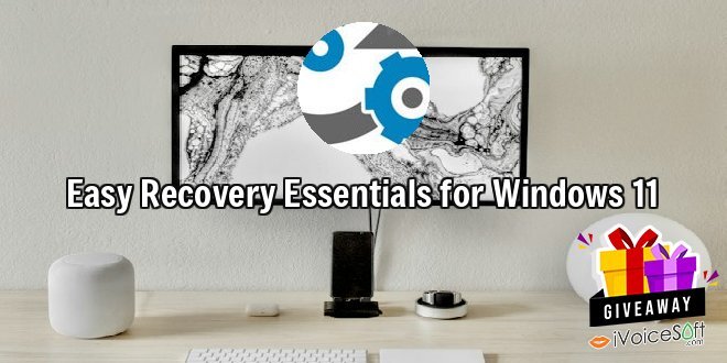 Easy Recovery Essentials for Windows 11