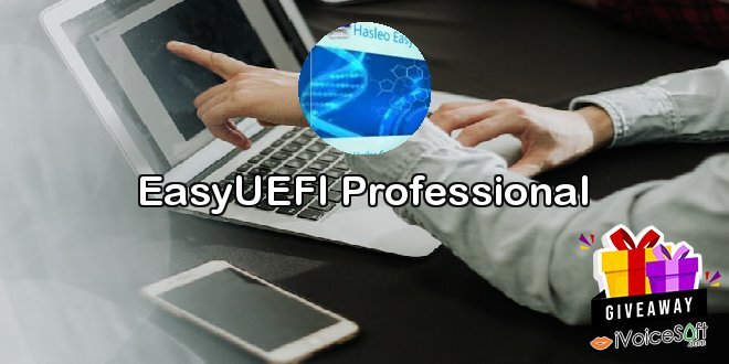 EasyUEFI Professional
