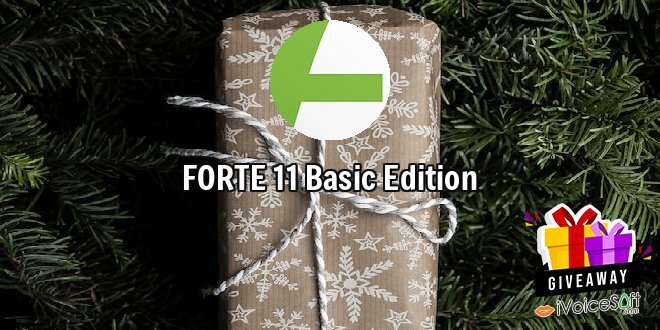 FORTE 11 Basic Edition