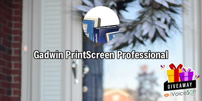 Gadwin PrintScreen Professional