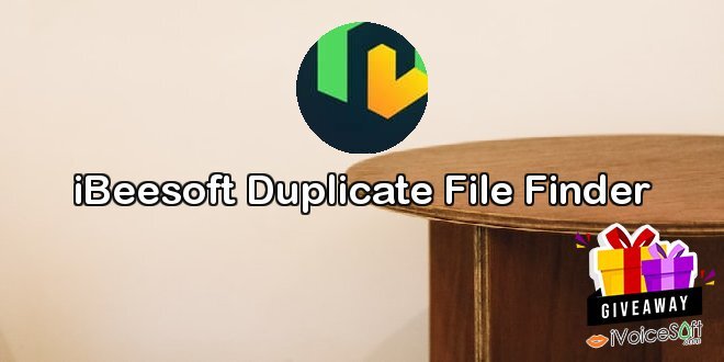 iBeesoft Duplicate File Finder