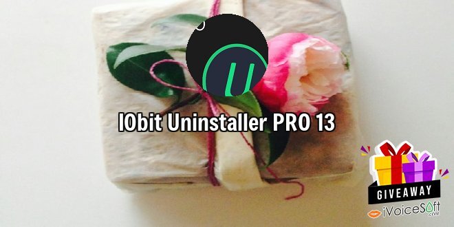 IObit Uninstaller PRO 13