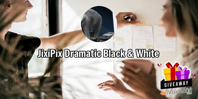 JixiPix Dramatic Black & White