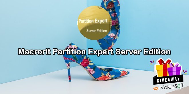 Macrorit Partition Expert Server Edition