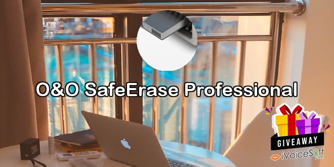 O&O SafeErase Professional