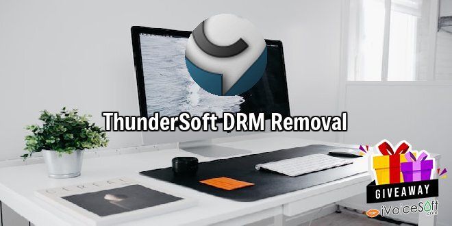 ThunderSoft DRM Removal