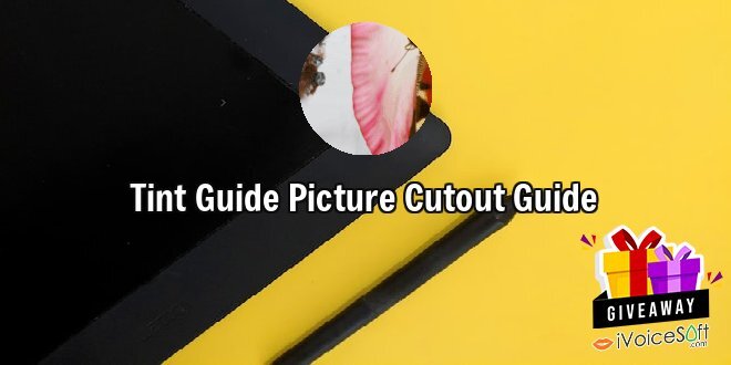 Tint Guide Picture Cutout Guide