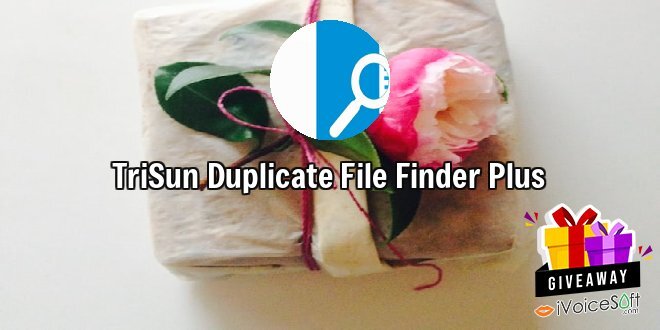 TriSun Duplicate File Finder Plus