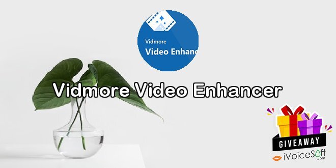 Vidmore Video Enhancer