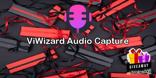 ViWizard Audio Capture