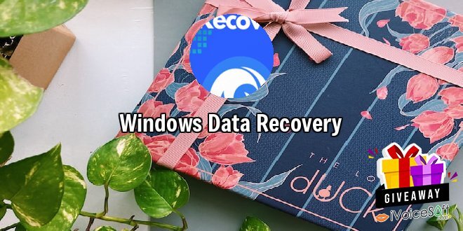 Windows Data Recovery