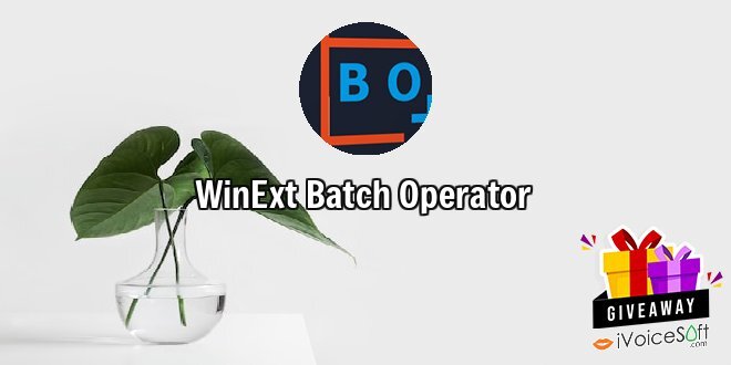 WinExt Batch Operator
