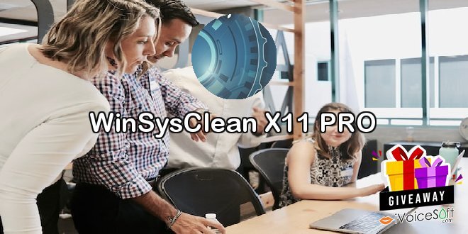 WinSysClean X11 PRO