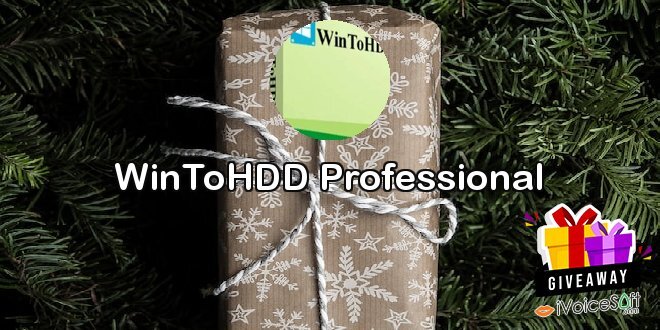 WinToHDD Professional
