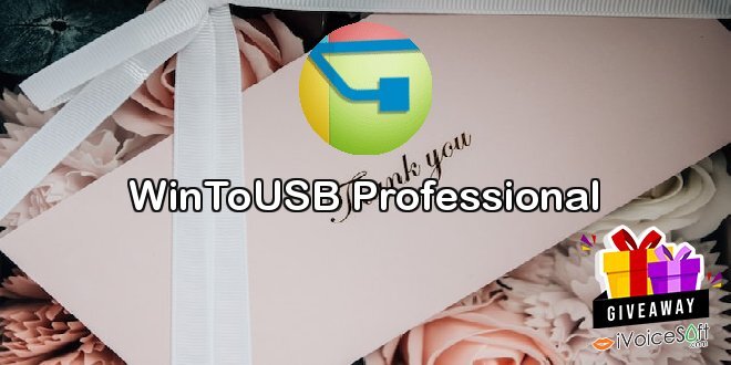 WinToUSB Professional