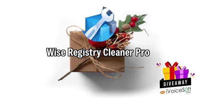 Wise Registry Cleaner Pro