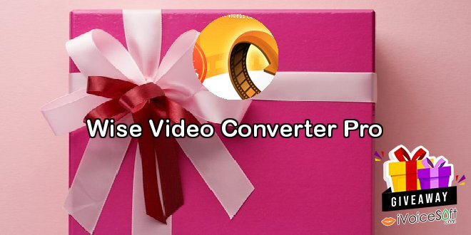 Wise Video Converter Pro