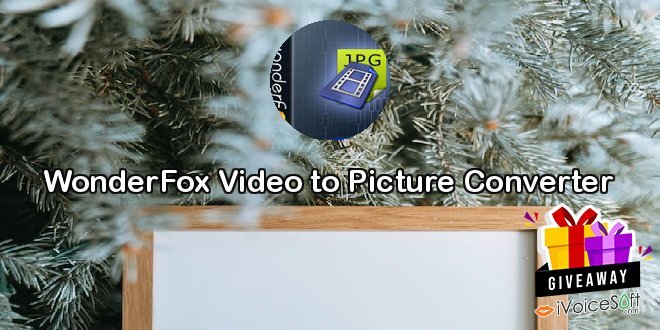 WonderFox Video to Picture Converter