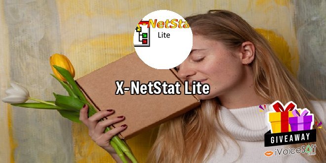 X-NetStat Lite