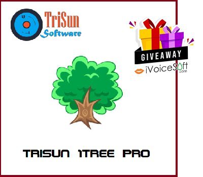 Tải miễn phí TriSun 1Tree Pro