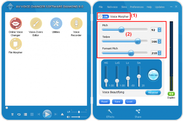 Set up voice