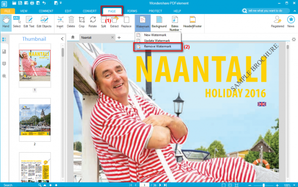 Remove watermark and logo watermark PDF file