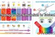Electromagnetic Simulation in Education