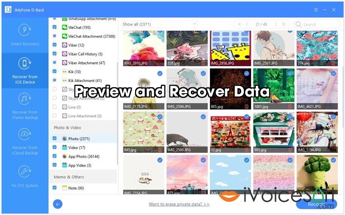 Preview and Recover Data