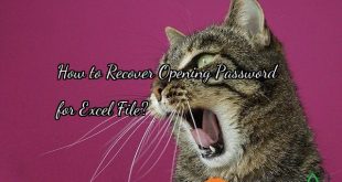 How to Recover Opening Password   for Excel File?