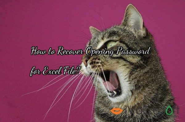 How to Recover Opening Password   for Excel File?
