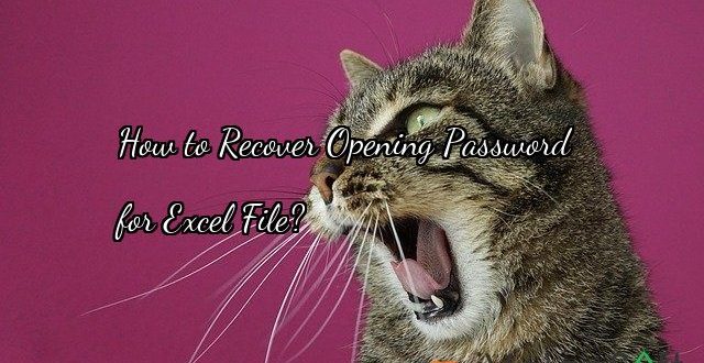 How to Recover Opening Password   for Excel File?