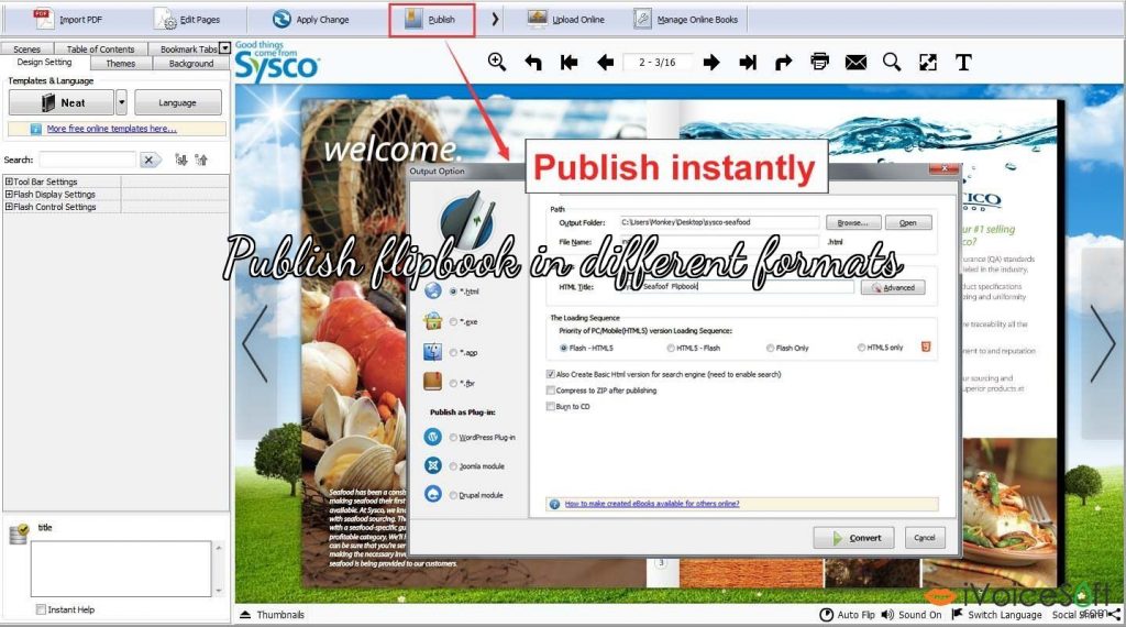 Publish flipbook in different formats