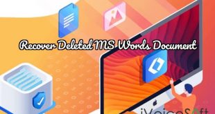 Recover Deleted MS Words Document