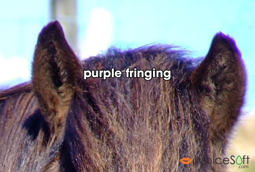 purple fringing