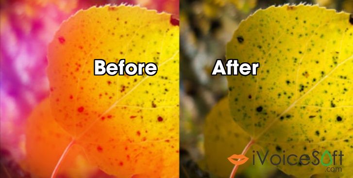Before After