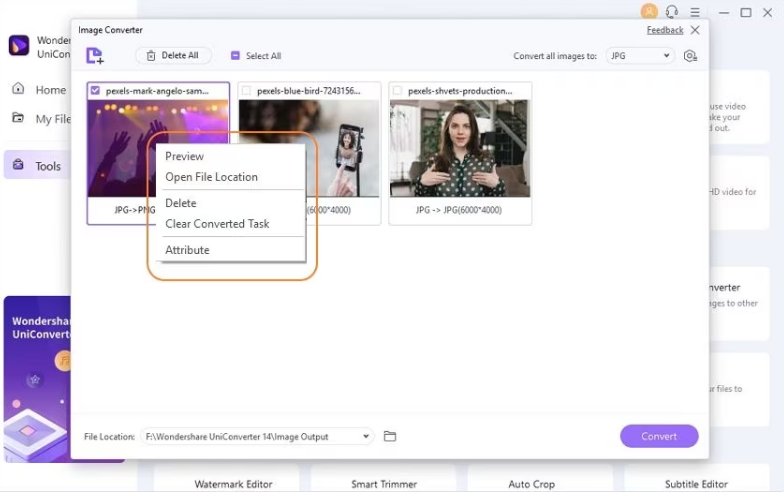 Customize and Edit Images