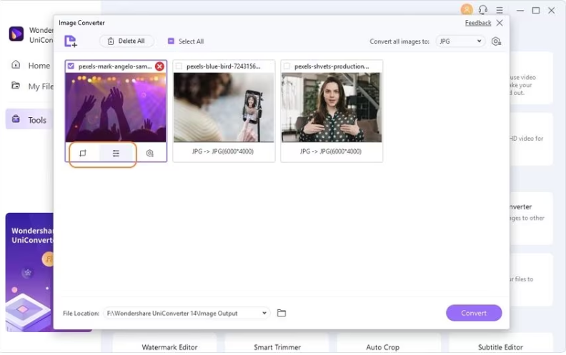 Customize your images by cropping, rotating, adding effects, or applying text or image watermarks using the editing icons under the thumbnail image.