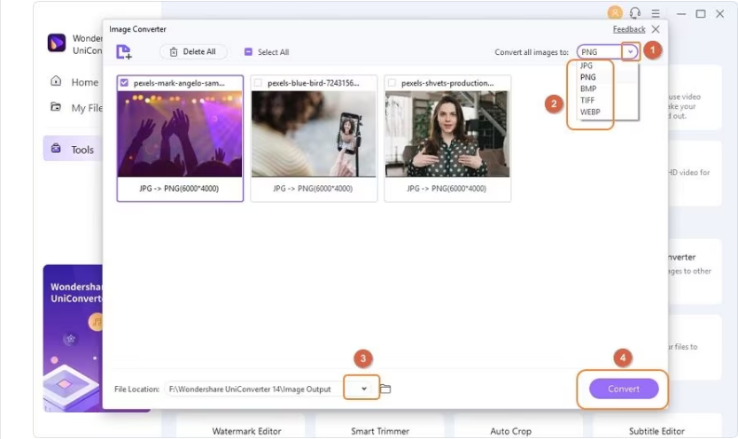 Select Target Format and Convert
